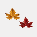 Hoja de Plátano Pequeña by Claudia Schiffer