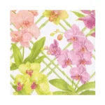 Lunch Orchid conservatory