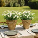 Mimbre - Macetero  trenzado