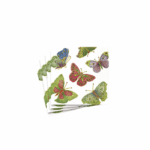 Lunch  Butterflies - Imagen 2